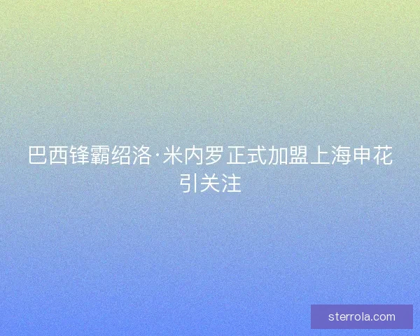 巴西锋霸绍洛·米内罗正式加盟上海申花引关注