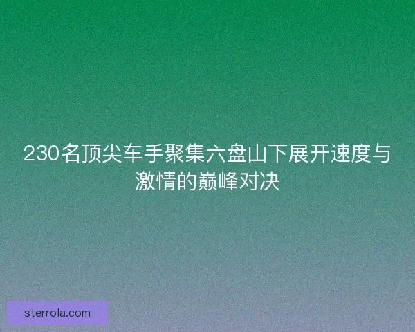 230名顶尖车手聚集六盘山下展开速度与激情的巅峰对决