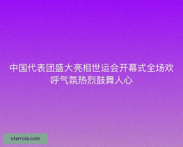 中国代表团盛大亮相世运会开幕式全场欢呼气氛热烈鼓舞人心 中国代表团盛大亮相世运会开幕式全场欢呼气氛热烈鼓舞人心