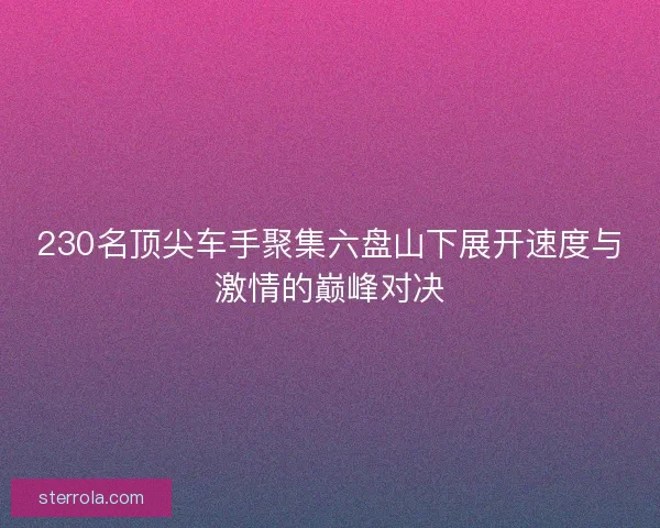 230名顶尖车手聚集六盘山下展开速度与激情的巅峰对决 230名顶尖车手聚集六盘山下展开速度与激情的巅峰对决