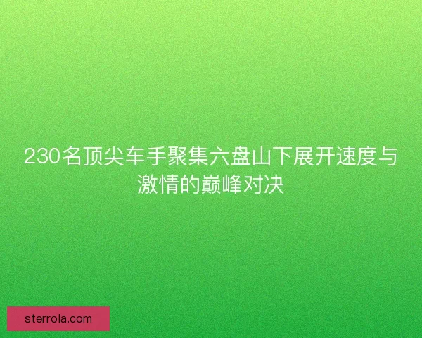 230名顶尖车手聚集六盘山下展开速度与激情的巅峰对决 230名顶尖车手聚集六盘山下展开速度与激情的巅峰对决